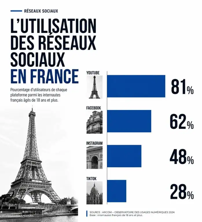 Infographie sur l'utilisation des réseaux sociaux en France : parts de marché par plateforme